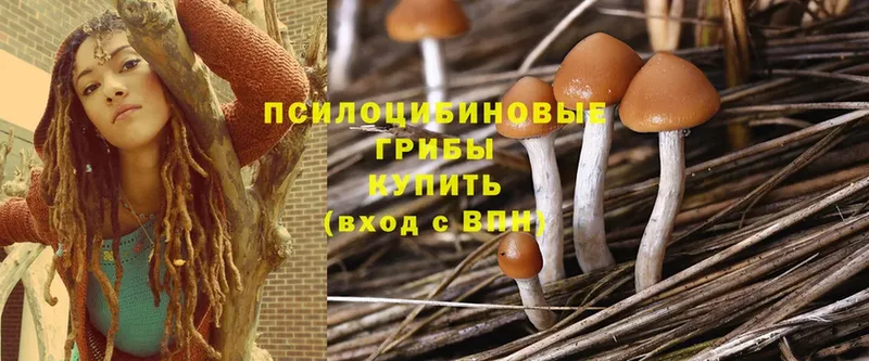 Псилоцибиновые грибы Magic Shrooms  где найти наркотики  Мытищи 